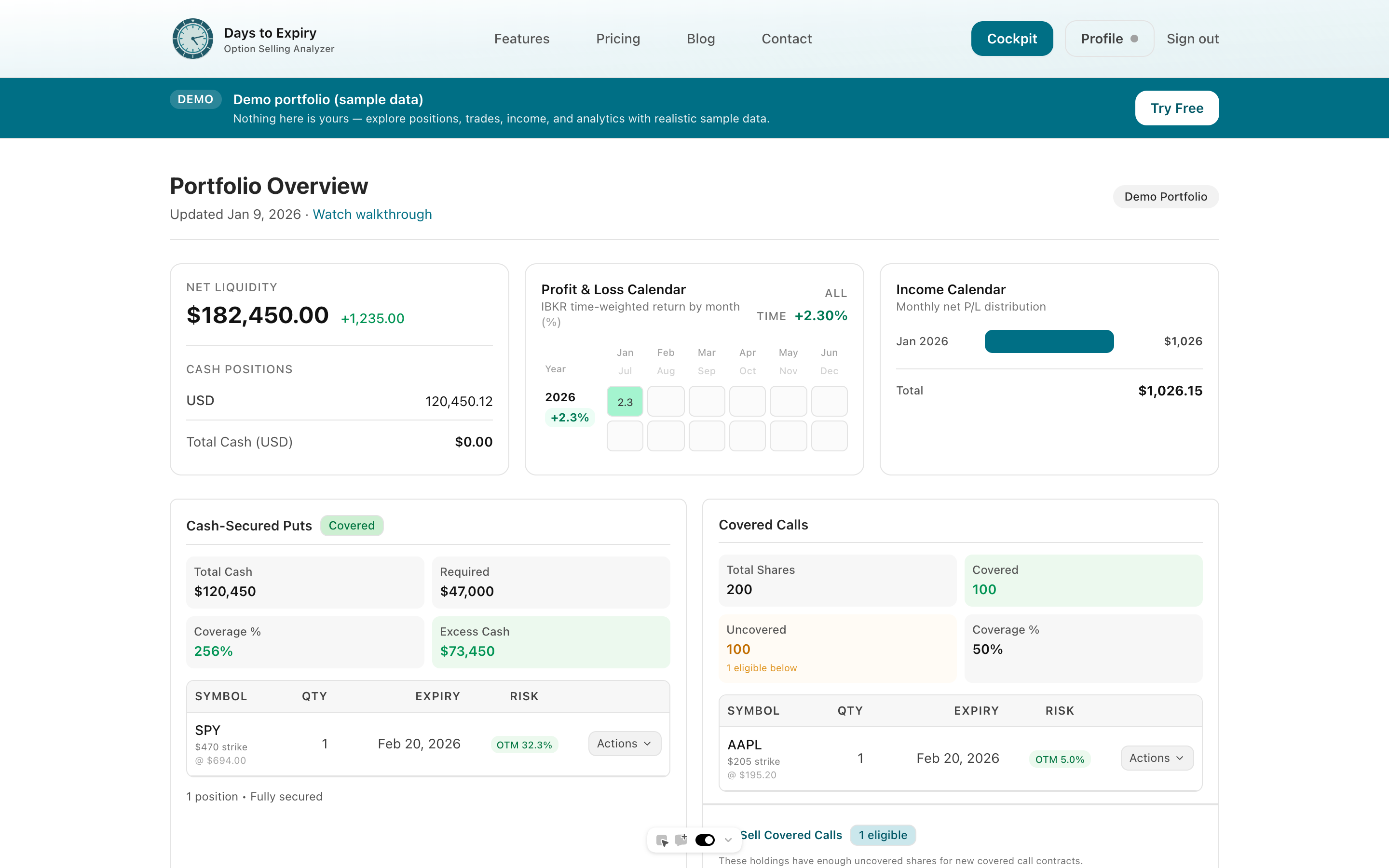 Days to Expiry scanner showing conservative options opportunities with premium, ROI, and assignment context